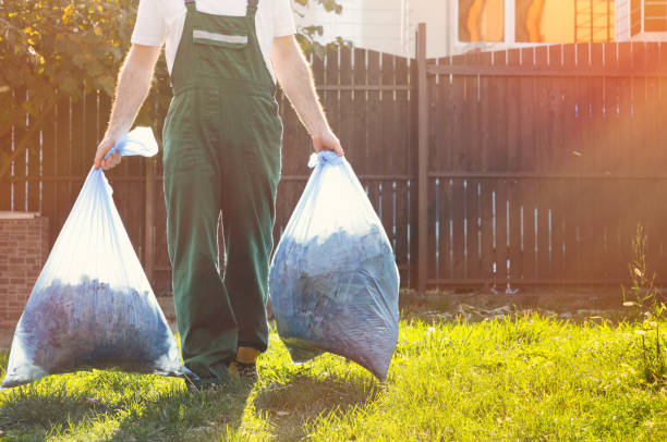 Best Shed Removal  in East Lansing, MI